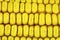 Yellow corn kernels macro background