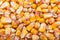 Yellow corn seeds, grains. Background of yellow corn grains