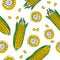 Yellow corncobs with green leaves seamless pattern. Ripe corn vegetables. Vector illustration.