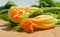 Yellow courgette blossoms