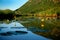 Yellow Cowlily Flowers and Lilypads with Mountain in Background