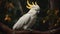 Yellow-crested cockatoo, standing on a tree branch gracefully. Generative AI
