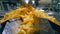 Yellow crisps sorted on a metal plate at a food plant.