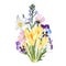 Yellow crocus flowers bouquet with garden herbs, bels, narcissus, viola on white background.