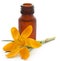 Yellow Crocus or Saffron with essential oil