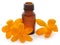 Yellow Crocus or Saffron with essential oil