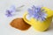 Yellow cup with chicory flowers, chicory powder in the background. Chicory flowers and tea from chicory. Selective focus