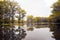 Yellow Cypress Trees On a Lake-4