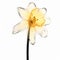 Yellow Daffodil Flower: 3d X-ray Illustration On White Background