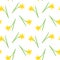 Yellow daffodil seamless pattern with spring flowers. Vector narcissus illustration background