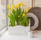 Yellow daffodils in balcony boxes for flowers