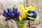 Yellow Daffodils. Blue Muscari. Bouquet. Fragrant spring. Sweet aroma of bright colors. Bouquet for your favorite girl. Flowers