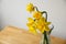 Yellow daffodils in a glass vase with neutral background horizontal.