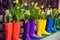 Yellow daffodils and hyacinth in multicolored rubber boots used as pots decorating the storefront window. Selective focus
