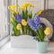Yellow daffodils and hyacinths in blue balcony boxes for flowers