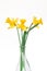 Yellow daffodils in transparent vases on a table on a white background