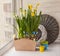 Yellow daffodils and white hyacinths in the balcony boxes