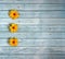 Yellow daisies on a background of old turquoise boards for list, menu, text or schedule, copy space