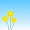 Yellow Daisies on Blue Background