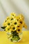 Yellow daisies in a round glass vase on a gray background