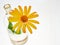 Yellow daisy. Flask with two necks. The glass bulb. Chemical flask. Chemical vessels. Glassware