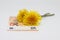 Yellow dandelion lies on a banknote close-up, financial plans in the spring