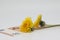 Yellow dandelion lies on a banknote close-up, financial plans in the spring