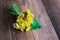 Yellow dandelion in wooden background