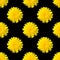 Yellow dandelions on a black background. Seamless dandelion pattern