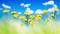 Yellow dandelions in a green grass against the background of the blue sky with clouds. Natural summer spring background. Artistic