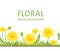 Yellow dandelions and green grass seamless border. Vector illustration of  meadow of spring flowers