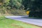 Yellow Dangerous Curve Sign Along a Mountain Roadway