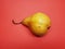 Yellow delicious pear over red background. Healthy pears.