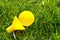Yellow divider for watering can on green young grass