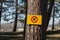 Yellow dog prohibted sign by publich beach