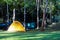 Yellow dome tent in camping