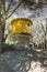 Yellow dovecote birds house is set on a high pole in the city for public breeding of pigeons in the park of the pines