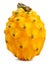 Yellow dragonfruit pitahaya