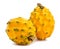 Yellow dragonfruit pitahaya