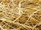 Yellow dried straw natural background