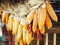 Yellow dried sweet corn in a row on cob hanging under the roof