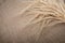 Yellow dry spikelets of wheat on burlap. Place for text. Still life close up. Top view