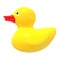 Yellow duck