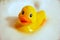 Yellow duck covered from the soap bubbles
