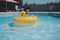 A yellow duck floating in a pool with a pool in the background. AI generation