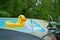 Yellow duck inflatable floating in a backyard swimming pool