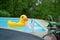 Yellow duck inflatable floating in a backyard swimming pool