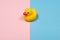 Yellow duckling crossing over the line with pink and blue