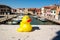 Yellow duckling in Murano