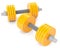 Yellow dumbbells